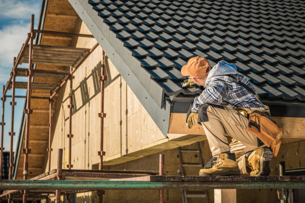 Professional Roofing service in Tampa, FL