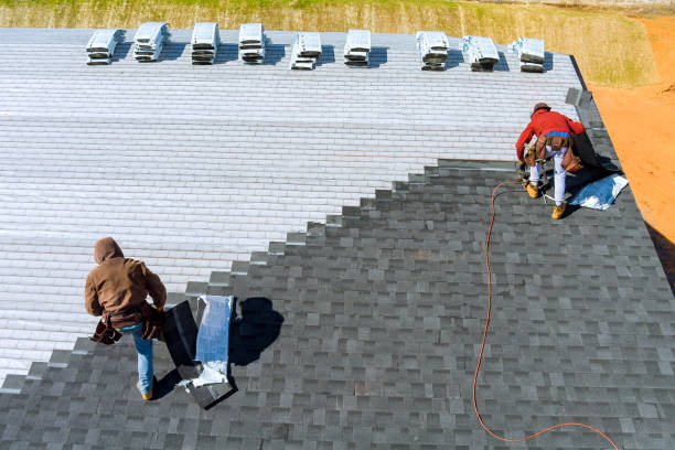 Best Roof Coating and Sealing  in Tampa, FL